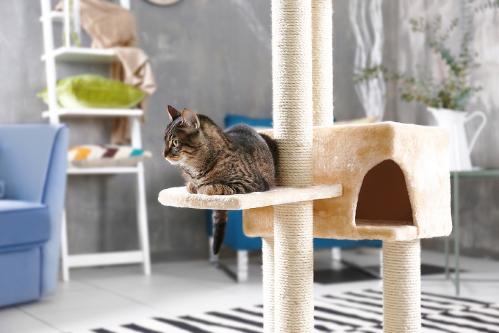 Best-Cat-Tree-for-Small-Apartments