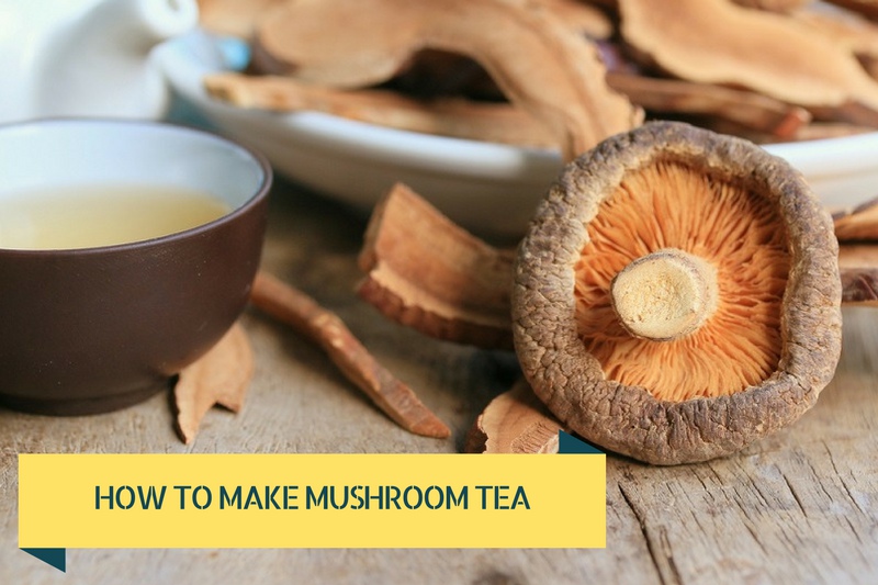 How to Make Mushroom Tea
